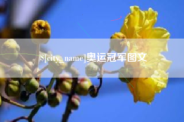 铜陵奥运冠军图文