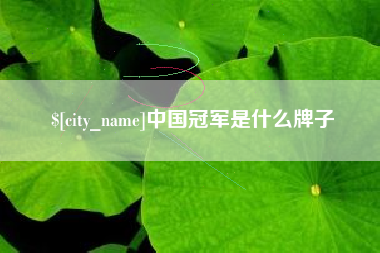 铜陵中国冠军是什么牌子