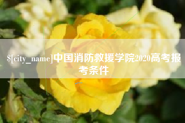 铜陵中国消防救援学院2020高考报考条件