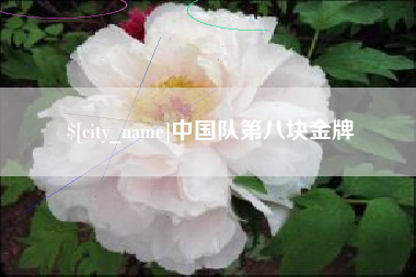 铜陵中国队第八块金牌