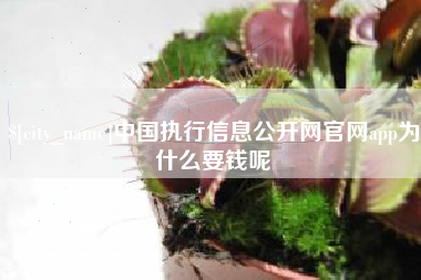 铜陵中国执行信息公开网官网app为什么要钱呢