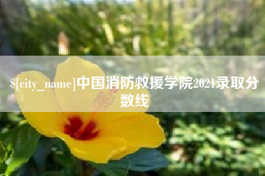 铜陵中国消防救援学院2021录取分数线