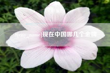 铜陵现在中国哪几个金牌