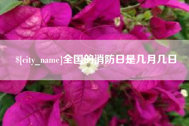 铜陵全国的消防日是几月几日