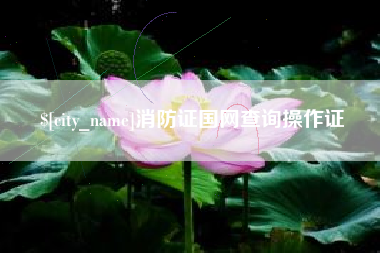 铜陵消防证国网查询操作证