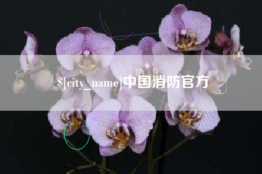 铜陵中国消防官方