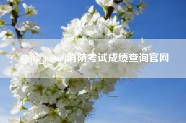 铜陵消防考试成绩查询官网