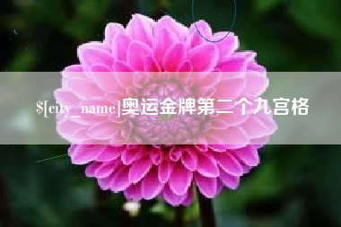 铜陵奥运金牌第二个九宫格