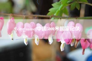 铜陵中国5000米国家记录