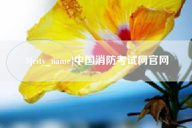 铜陵中国消防考试网官网
