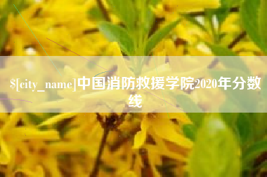 铜陵中国消防救援学院2020年分数线