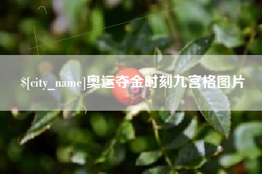 铜陵奥运夺金时刻九宫格图片