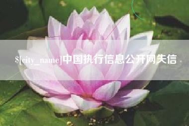 铜陵中国执行信息公开网失信