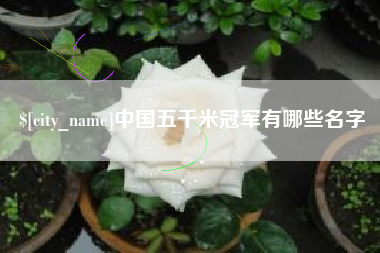 铜陵中国五千米冠军有哪些名字