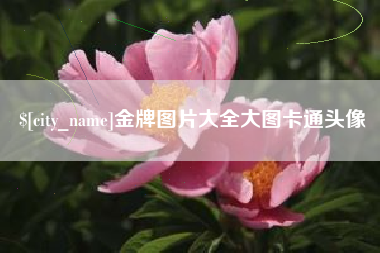 铜陵金牌图片大全大图卡通头像