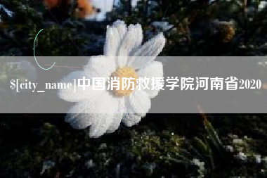 铜陵中国消防救援学院河南省2020